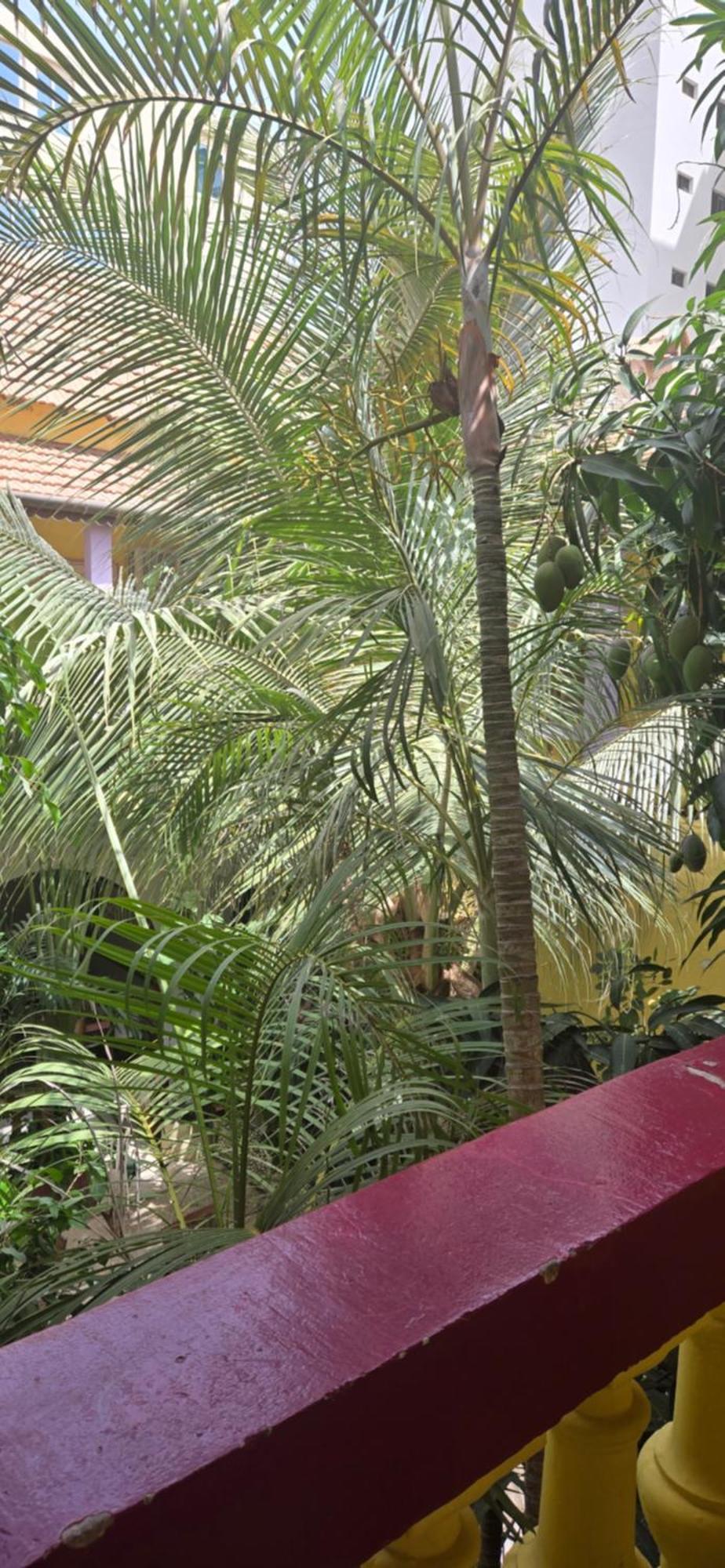 Hotel Saint-Louis Sun Dakar Dış mekan fotoğraf